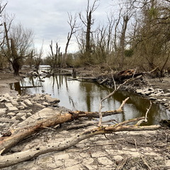 23-02-18 15-29-43 4268